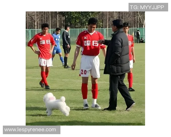 张琳芃坚守绿茵展现中国足球老将风采引领年轻球员奋勇前行