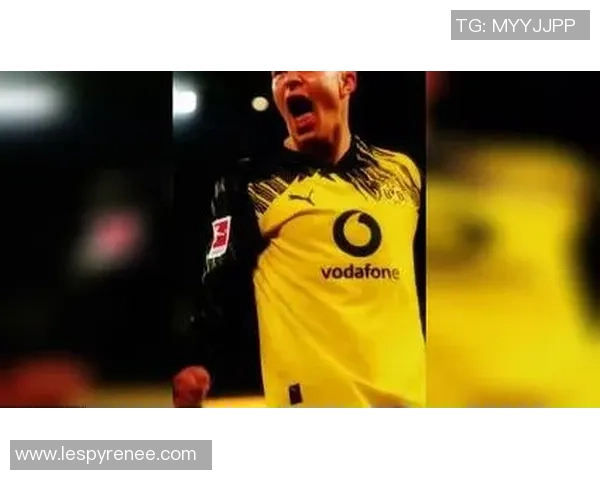 绿茵争锋激情绽放世界足坛豪强逐梦冠军荣耀